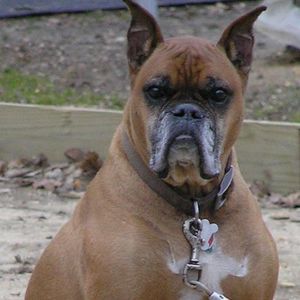 Meet your Posher, William